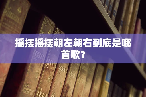摇摆摇摆朝左朝右到底是哪首歌？