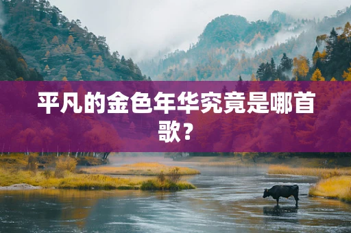 平凡的金色年华究竟是哪首歌？