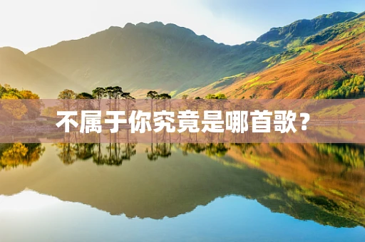 不属于你究竟是哪首歌？