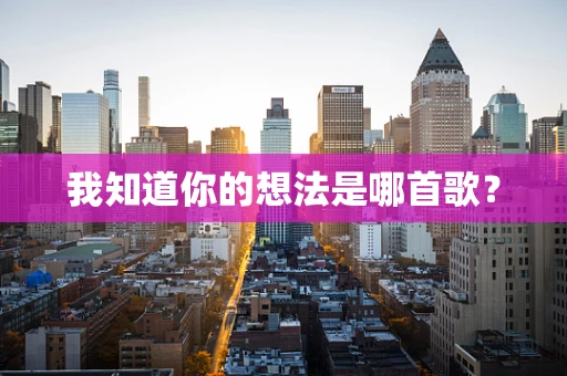 我知道你的想法是哪首歌？