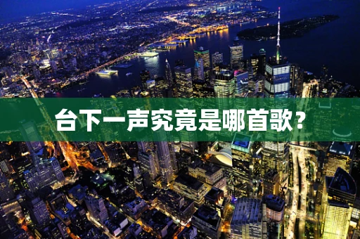 台下一声究竟是哪首歌？