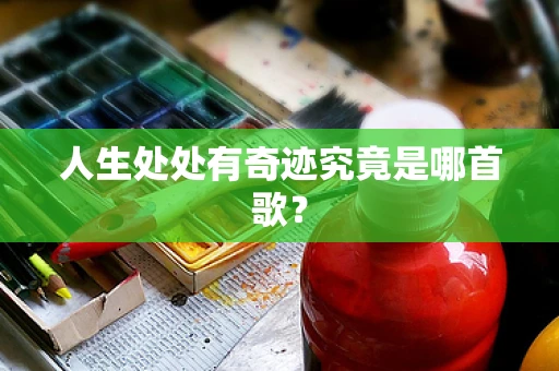 人生处处有奇迹究竟是哪首歌？
