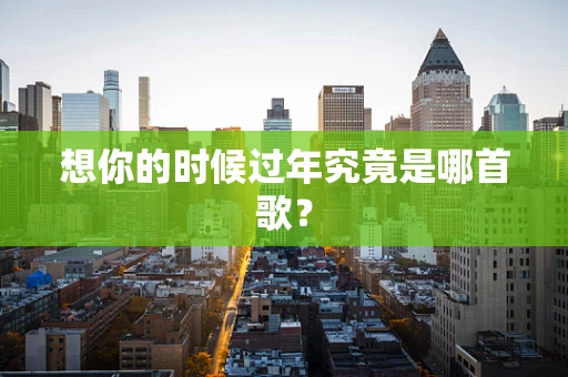 想你的时候过年究竟是哪首歌？