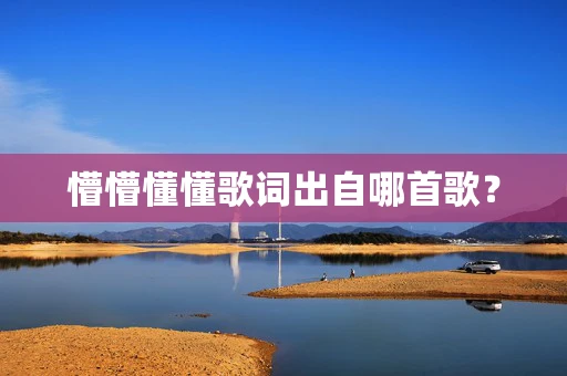 懵懵懂懂歌词出自哪首歌？