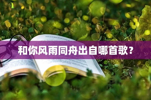 和你风雨同舟出自哪首歌？