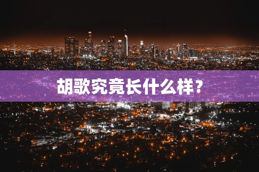 胡歌究竟长什么样？
