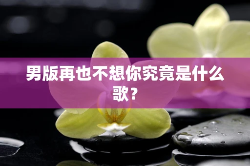 男版再也不想你究竟是什么歌？