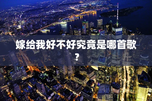 嫁给我好不好究竟是哪首歌？