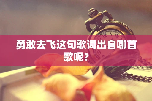 勇敢去飞这句歌词出自哪首歌呢？