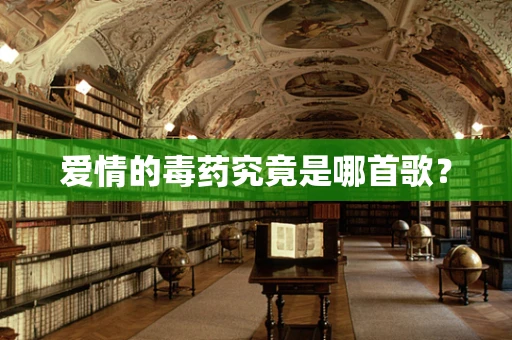 爱情的毒药究竟是哪首歌？