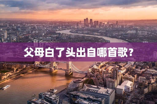 父母白了头出自哪首歌？