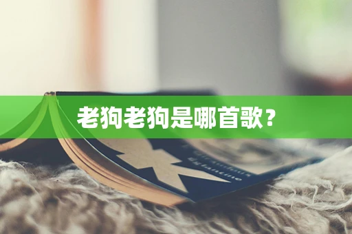 老狗老狗是哪首歌？