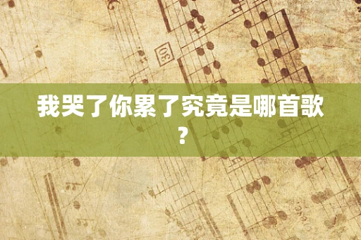 我哭了你累了究竟是哪首歌？