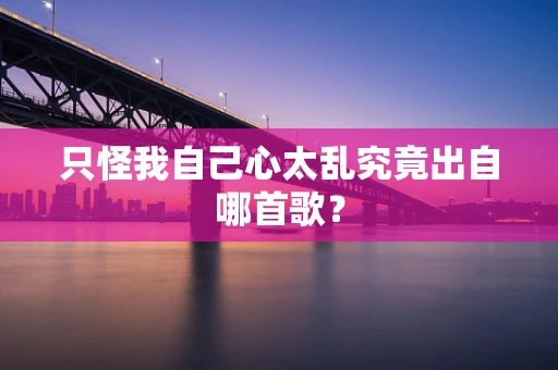 只怪我自己心太乱究竟出自哪首歌？