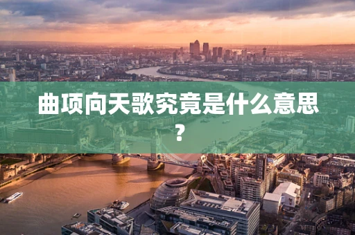 曲项向天歌究竟是什么意思？