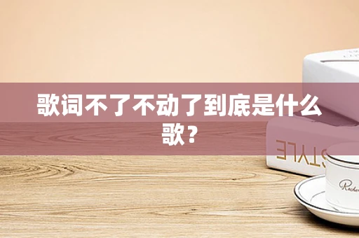 歌词不了不动了到底是什么歌？