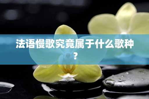 法语慢歌究竟属于什么歌种？