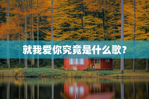 就我爱你究竟是什么歌？