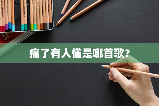 痛了有人懂是哪首歌？