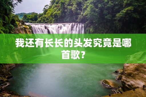 我还有长长的头发究竟是哪首歌？