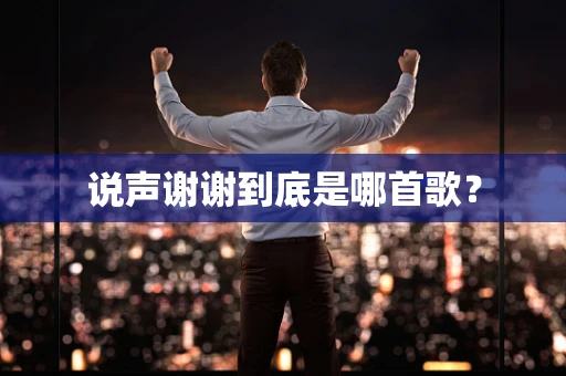 说声谢谢到底是哪首歌？