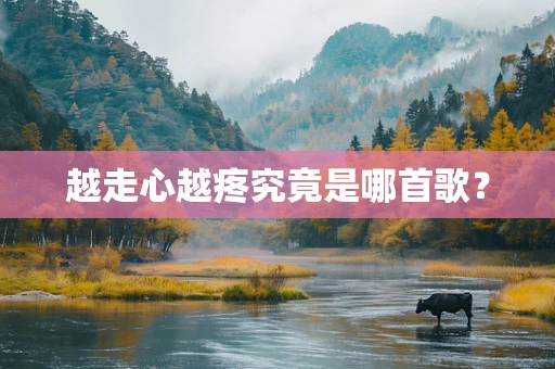 越走心越疼究竟是哪首歌？
