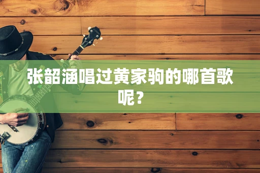 张韶涵唱过黄家驹的哪首歌呢？