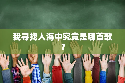 我寻找人海中究竟是哪首歌？