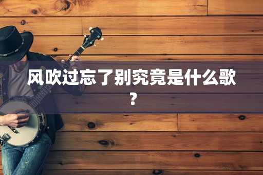 风吹过忘了别究竟是什么歌？