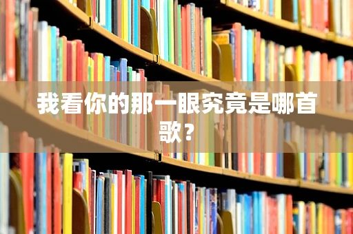 我看你的那一眼究竟是哪首歌？