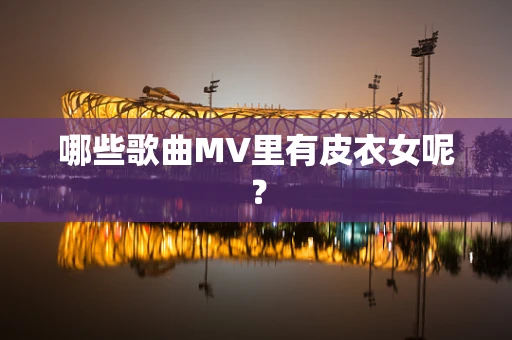 哪些歌曲MV里有皮衣女呢？