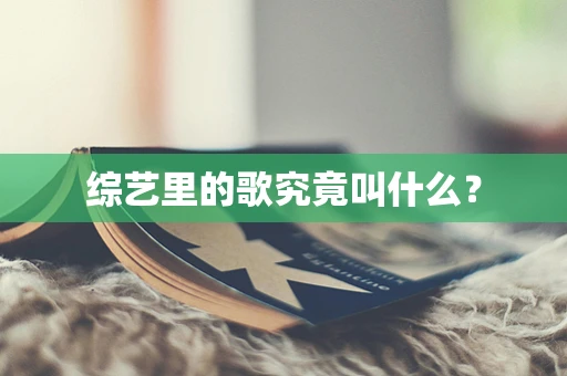 综艺里的歌究竟叫什么？