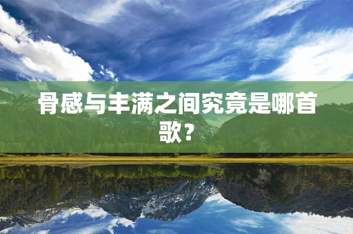 骨感与丰满之间究竟是哪首歌？