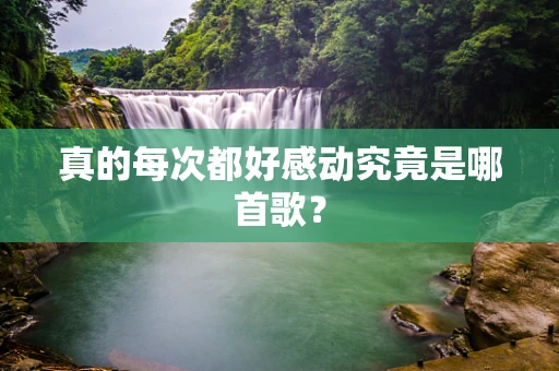 真的每次都好感动究竟是哪首歌？
