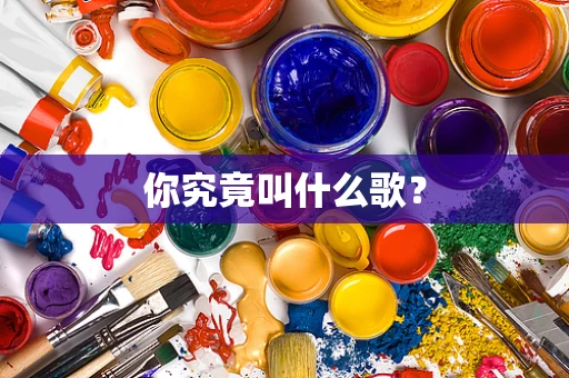 你究竟叫什么歌？
