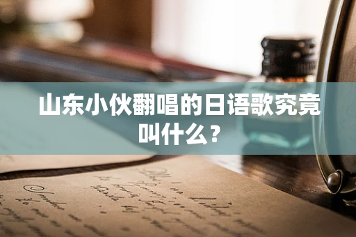 山东小伙翻唱的日语歌究竟叫什么？