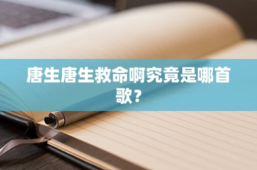 唐生唐生救命啊究竟是哪首歌？