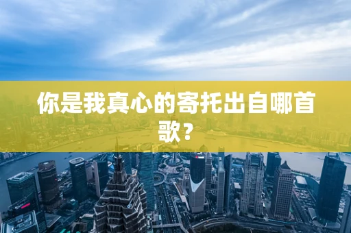 你是我真心的寄托出自哪首歌？