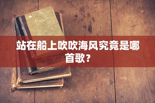 站在船上吹吹海风究竟是哪首歌？