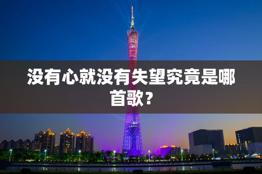 没有心就没有失望究竟是哪首歌？
