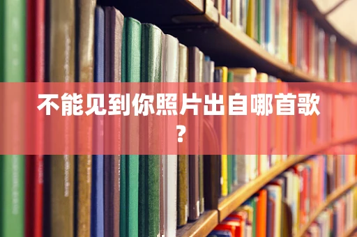 不能见到你照片出自哪首歌？