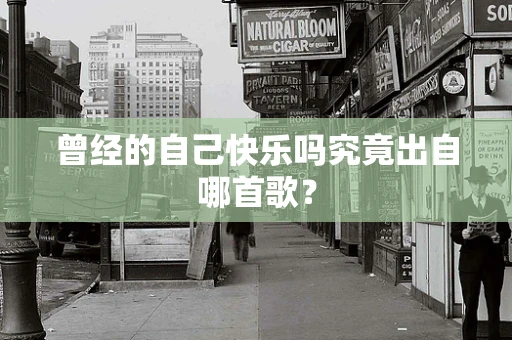 曾经的自己快乐吗究竟出自哪首歌？