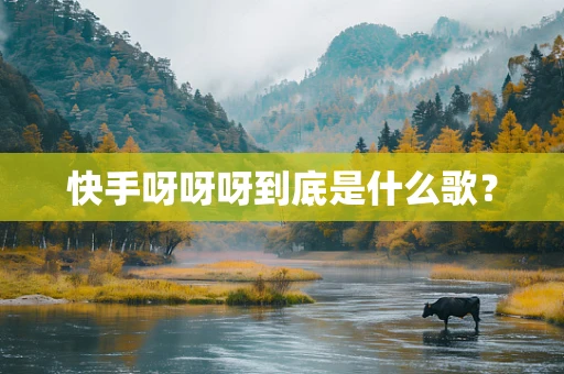 快手呀呀呀到底是什么歌？