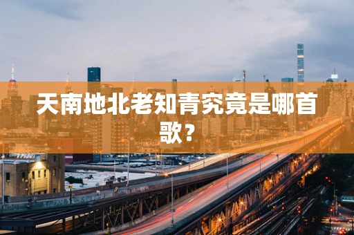 天南地北老知青究竟是哪首歌？