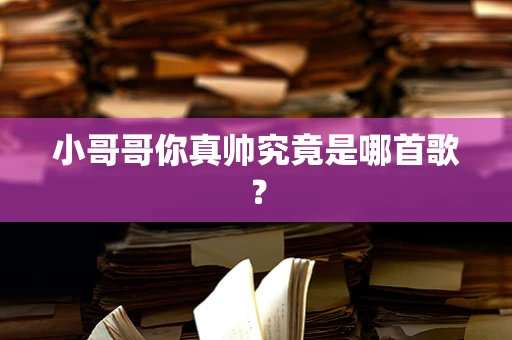 小哥哥你真帅究竟是哪首歌？