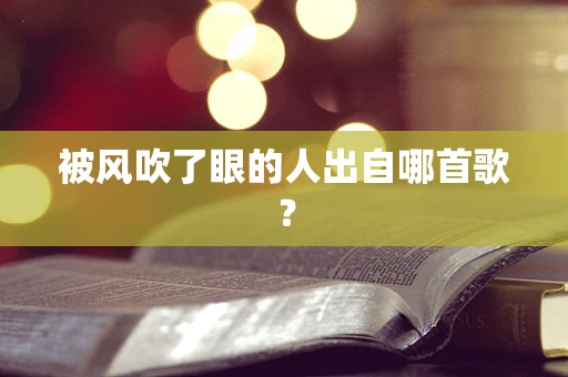 被风吹了眼的人出自哪首歌？