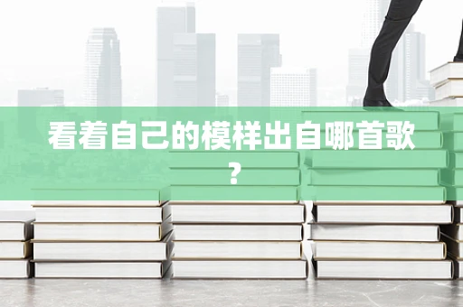 看着自己的模样出自哪首歌？