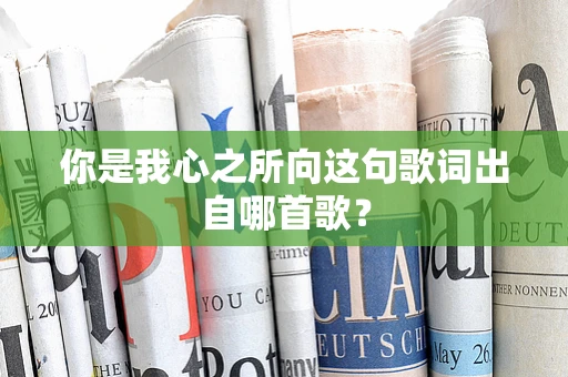 你是我心之所向这句歌词出自哪首歌？