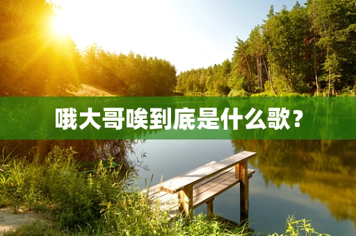 哦大哥唉到底是什么歌？