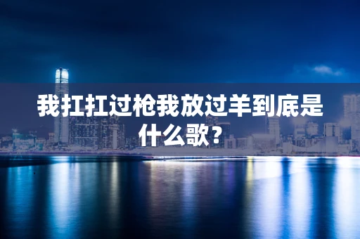 我扛扛过枪我放过羊到底是什么歌？